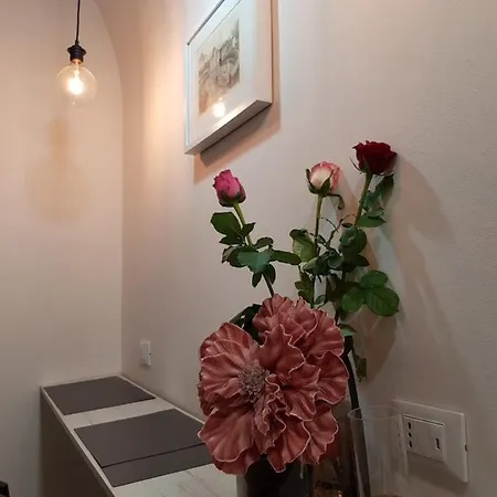 The Shelter In Konukevi *